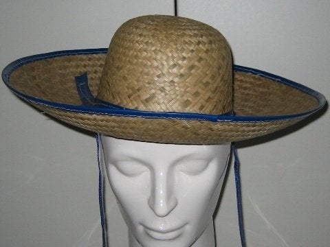 Te koop aangeboden: Diverse hoeden Sombrero , Carnaval, Overige maten, Ophalen of Verzenden, Zo goed als nieuw