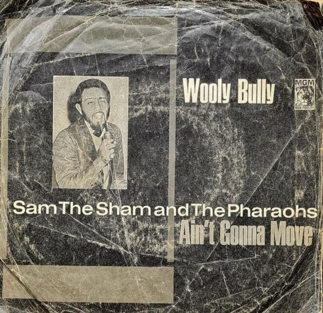 SAM THE SHAM  - WOOLY BULLY (HOES BESCHADIGD), Ophalen of Verzenden, Gebruikt, Pop