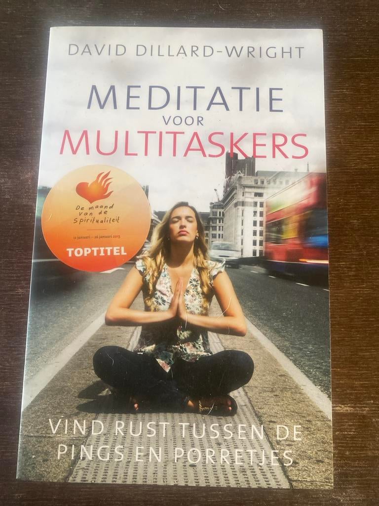 David Dillard-Wright - Meditatie voor multitaskers, Meditatie of Yoga, Ophalen of Verzenden, Zo goed als nieuw, David Dillard-Wright