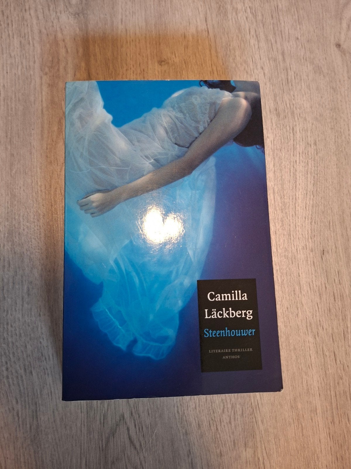 Camilla Läckberg - Steenhouwer (Zo goed als nieuw), Ophalen of Verzenden, Zo goed als nieuw, Camilla Läckberg, Scandinavië