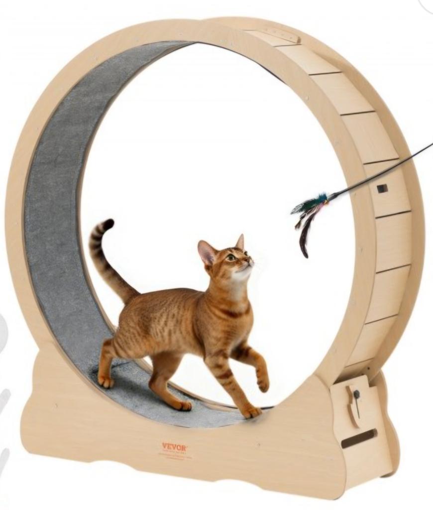 Katten loopwiel, Ophalen of Verzenden, Nieuw, Overig speelgoed
