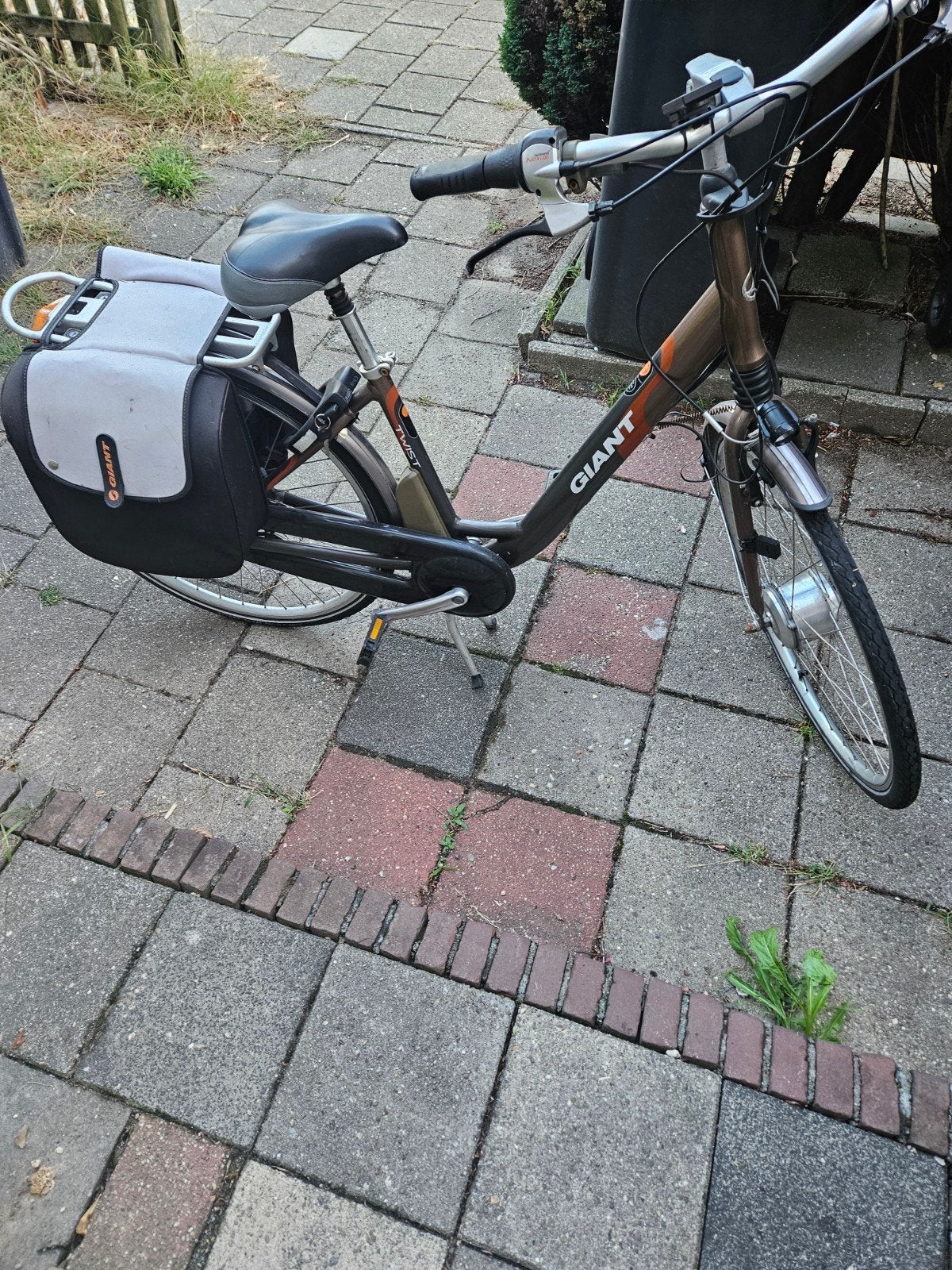 Giant Twist 1.1 elektrische fiets met dubbele accu, Ophalen of Verzenden, Gebruikt