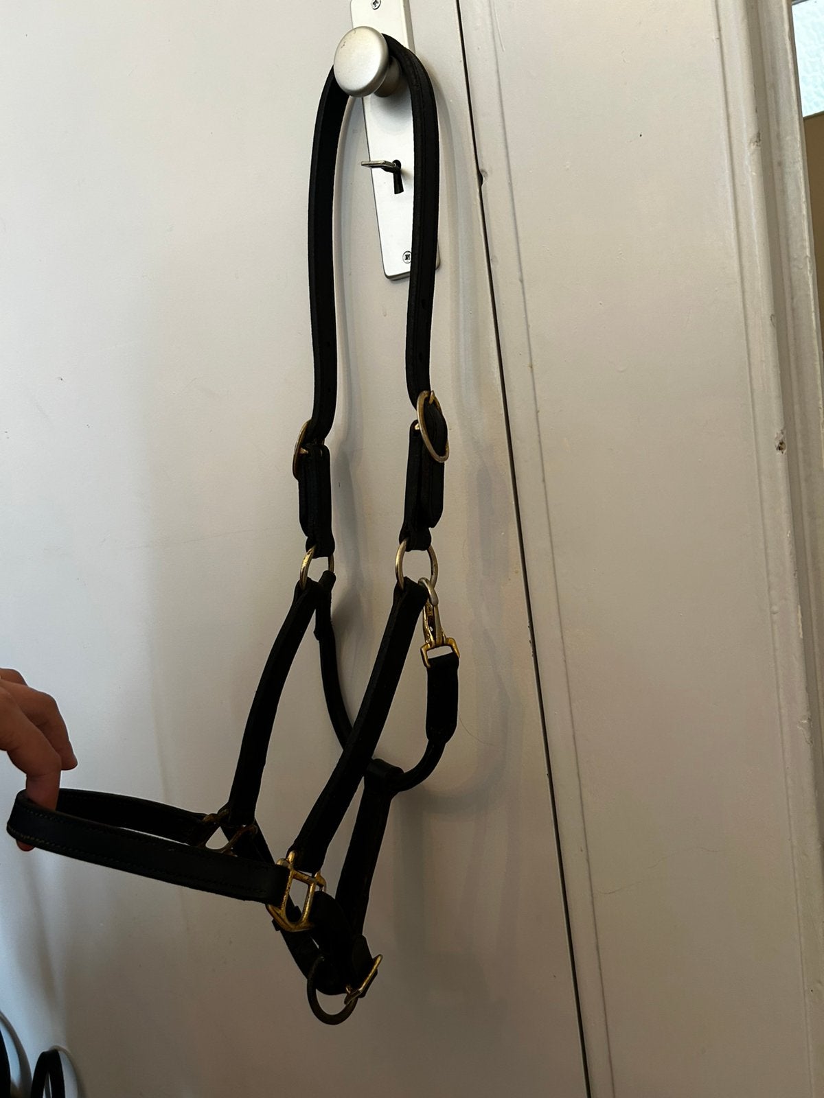 Halster zwart leer goud full, Dieren en Toebehoren, Paarden en Pony's | Hoofdstellen en Tuigage, Ophalen of Verzenden, Zo goed als nieuw
