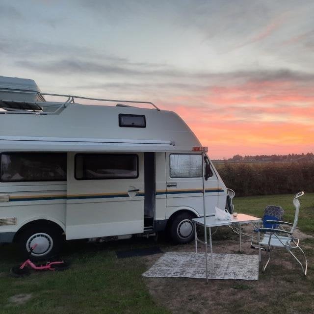 Volkswagen LT31 Westfalia Florida 2.4 Turbo Diesel (1991), Caravans en Kamperen, Campers, Volkswagen, 7 tot 12 maanden geleden