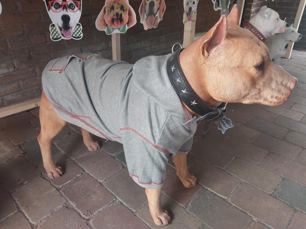 decoratief honden beeld pittbull/stafford, Ophalen of Verzenden, Zo goed als nieuw, Dier