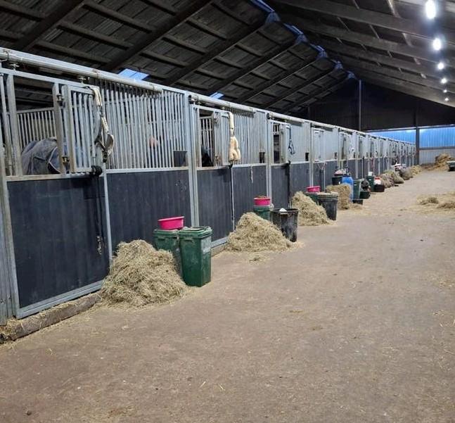 Pensionstalling voor paarden en pony's beschikbaar, Weidegang, 4 paarden of pony's of meer