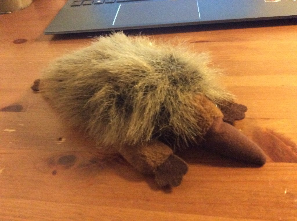 Echidna beanbag knuffel liggend 22 cm. zgan, Ophalen of Verzenden, Zo goed als nieuw, Overige typen