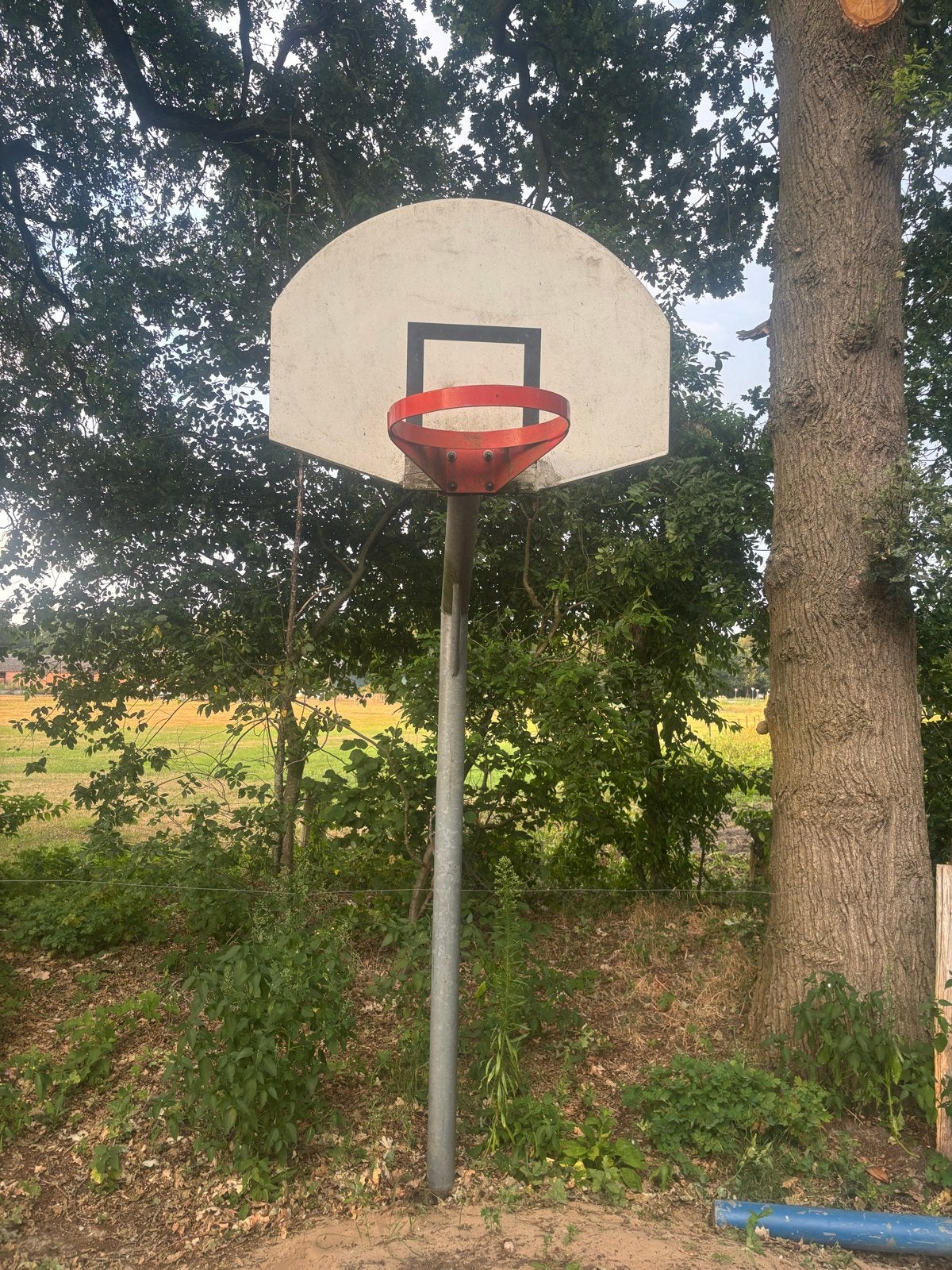 2 basketbalpalen te koop, Ophalen, Gebruikt, Ring, Bord of Paal