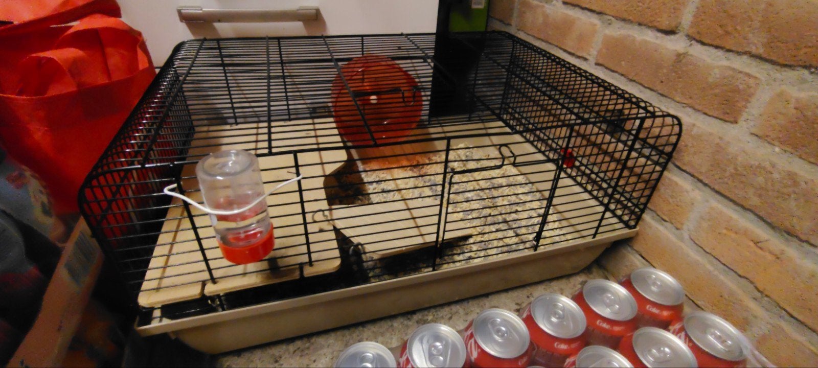 Hamster/knaagdier kooi,accessoires voeding T.E.A.B., Kooi, Minder dan 75 cm, Zo goed als nieuw, Hamster