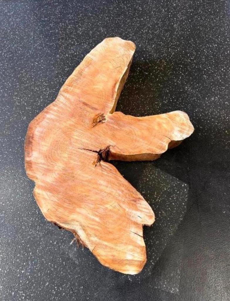 Woodcarving boomstam blad, Antiek en Kunst, Ophalen of Verzenden
