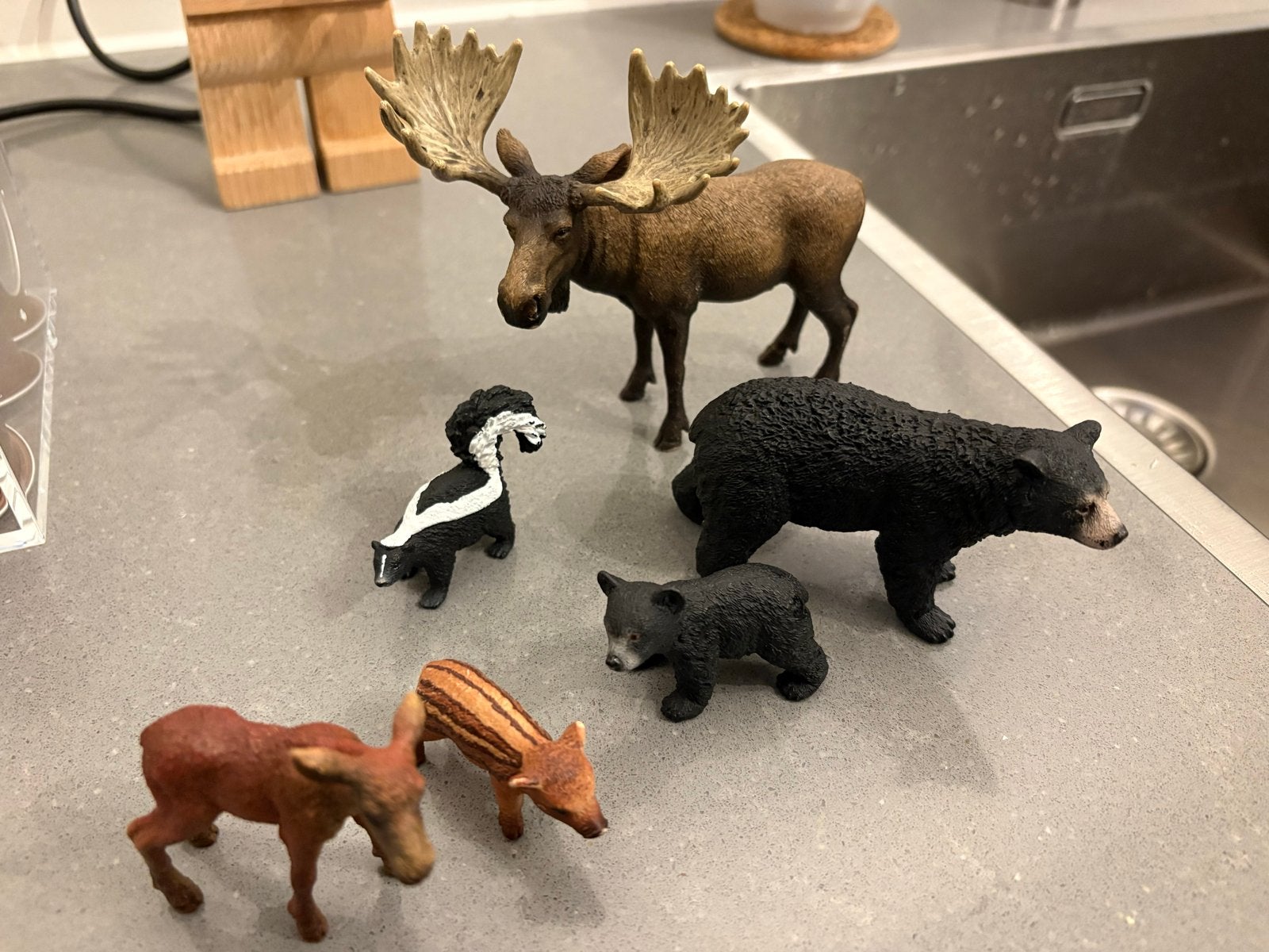 Schleich Bosdieren Set: Eland, Beren, Everzwijn, Wasbeer, Ophalen of Verzenden, Gebruikt