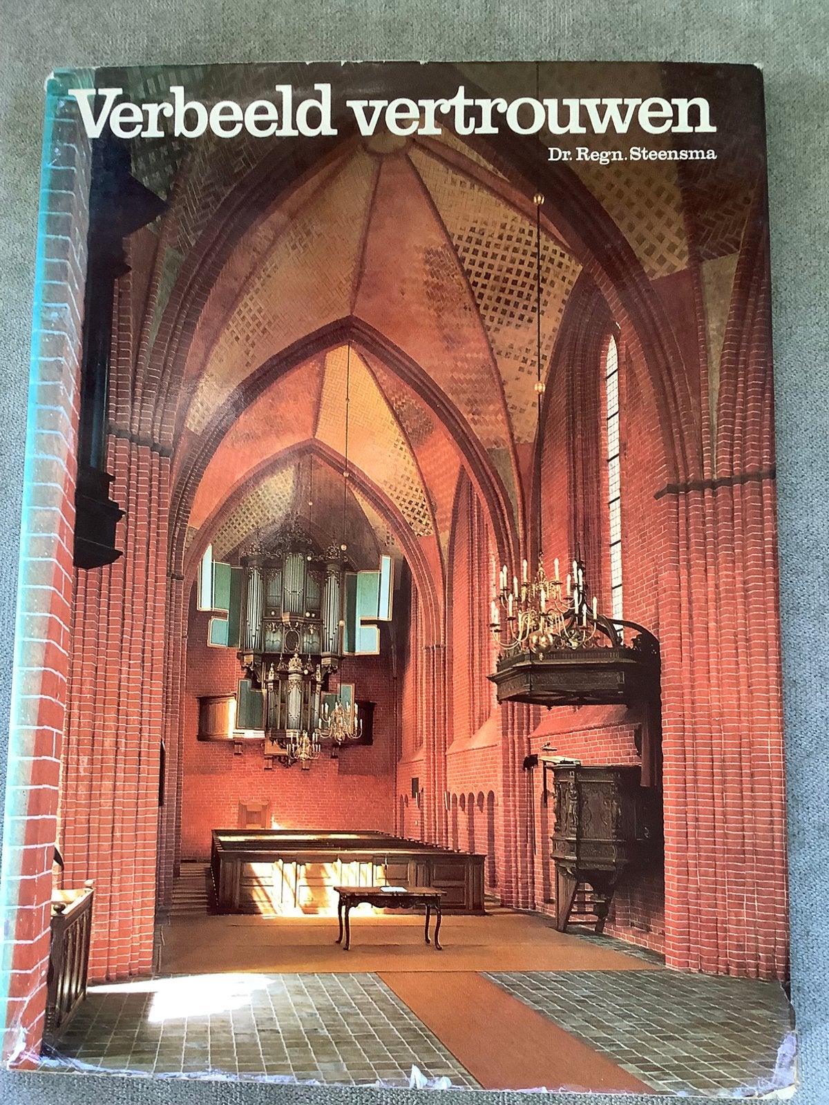 Verbeeld vertrouwen - dr. Regn. Steensma, Boeken, Ophalen of Verzenden, Zo goed als nieuw