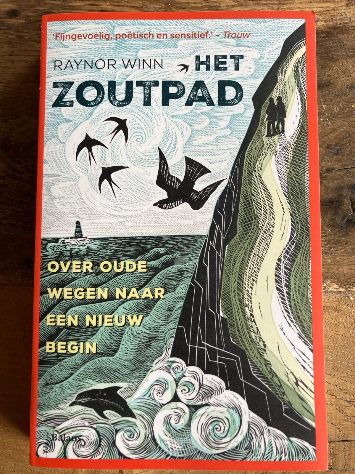 Het Zoutpad - Raynor Winn (Zo goed als nieuw), Boeken, Ophalen of Verzenden, Zo goed als nieuw, Europa overig
