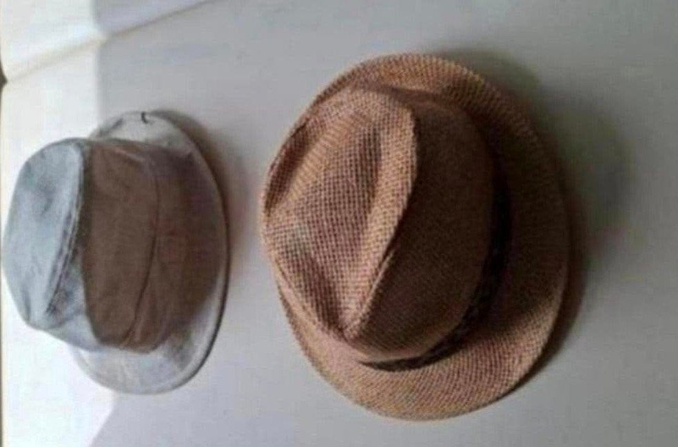 2 leuke hoeden, Kleding | Dames, Ophalen of Verzenden, Zo goed als nieuw, 58 cm (L, 7¼ inch) of meer, Hoed