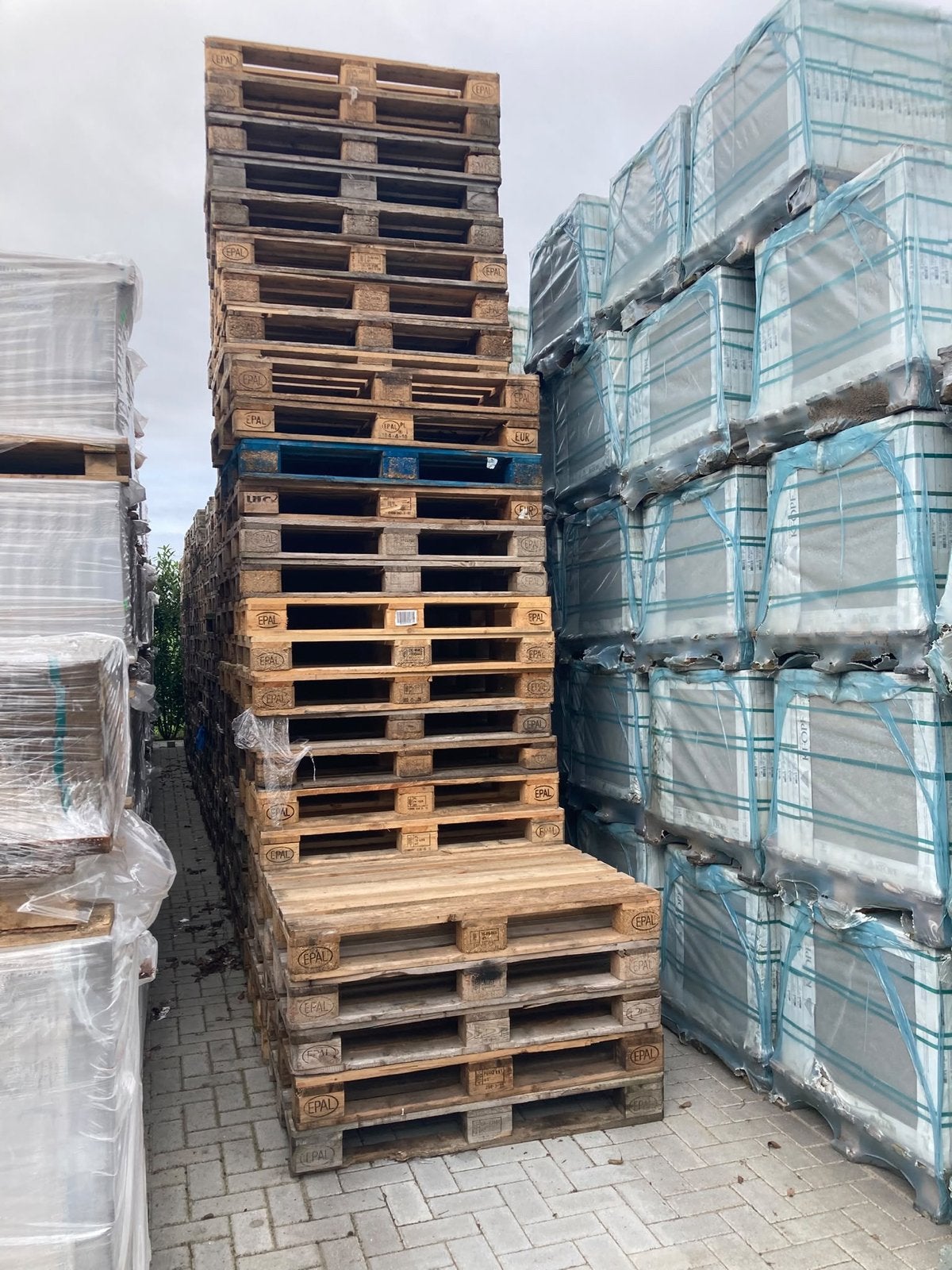 293 gebruikte Europallets - direct beschikbaar, Zakelijke goederen, Ophalen of Verzenden, Overige categorieën