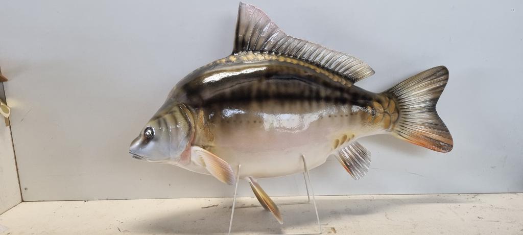 Decoratieve Spiegelkarper,, Ophalen, Nieuw, Overige typen