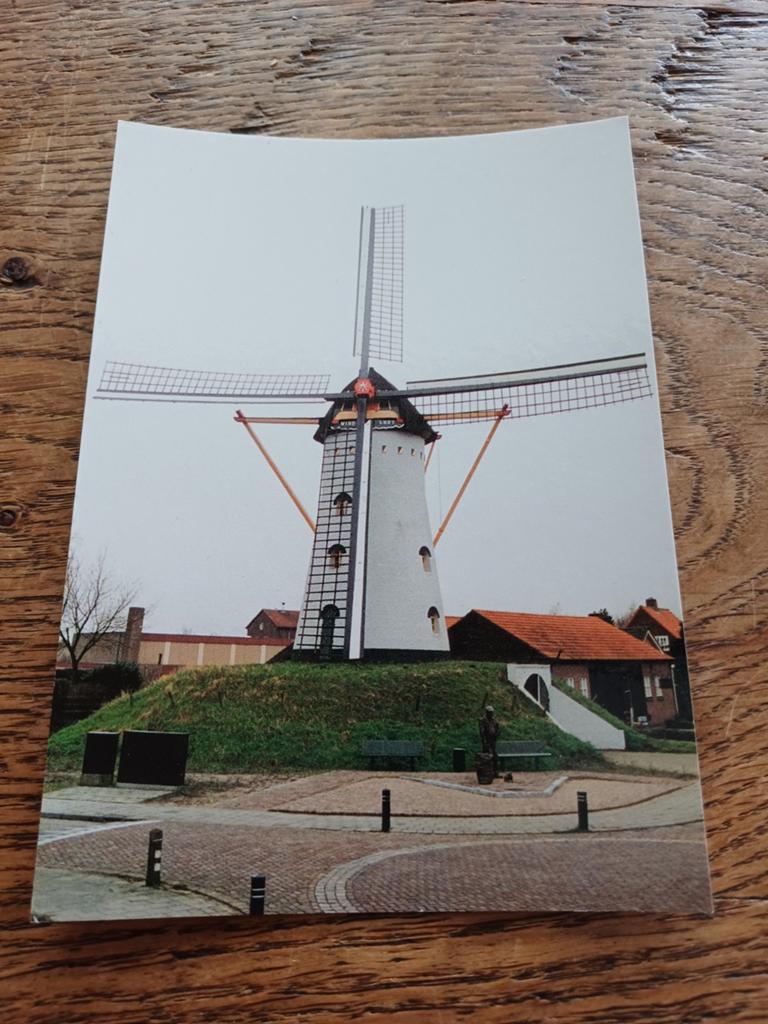 Vorstenbosch  de molen  de windlust, Ophalen of Verzenden