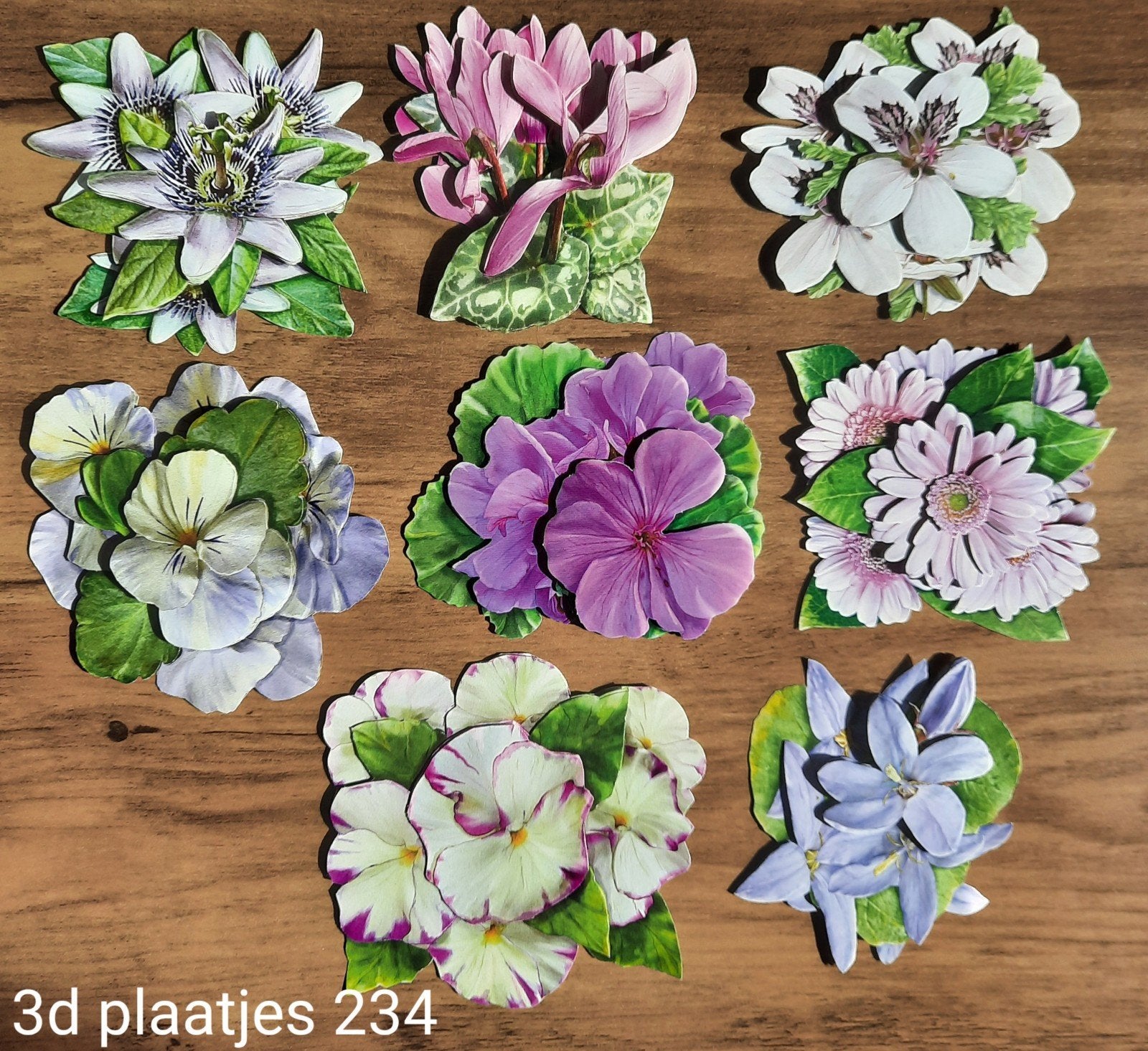 3d Plaatjes 234, Hobby en Vrije tijd, Ophalen of Verzenden, Nieuw, Overige thema's, Knipvel
