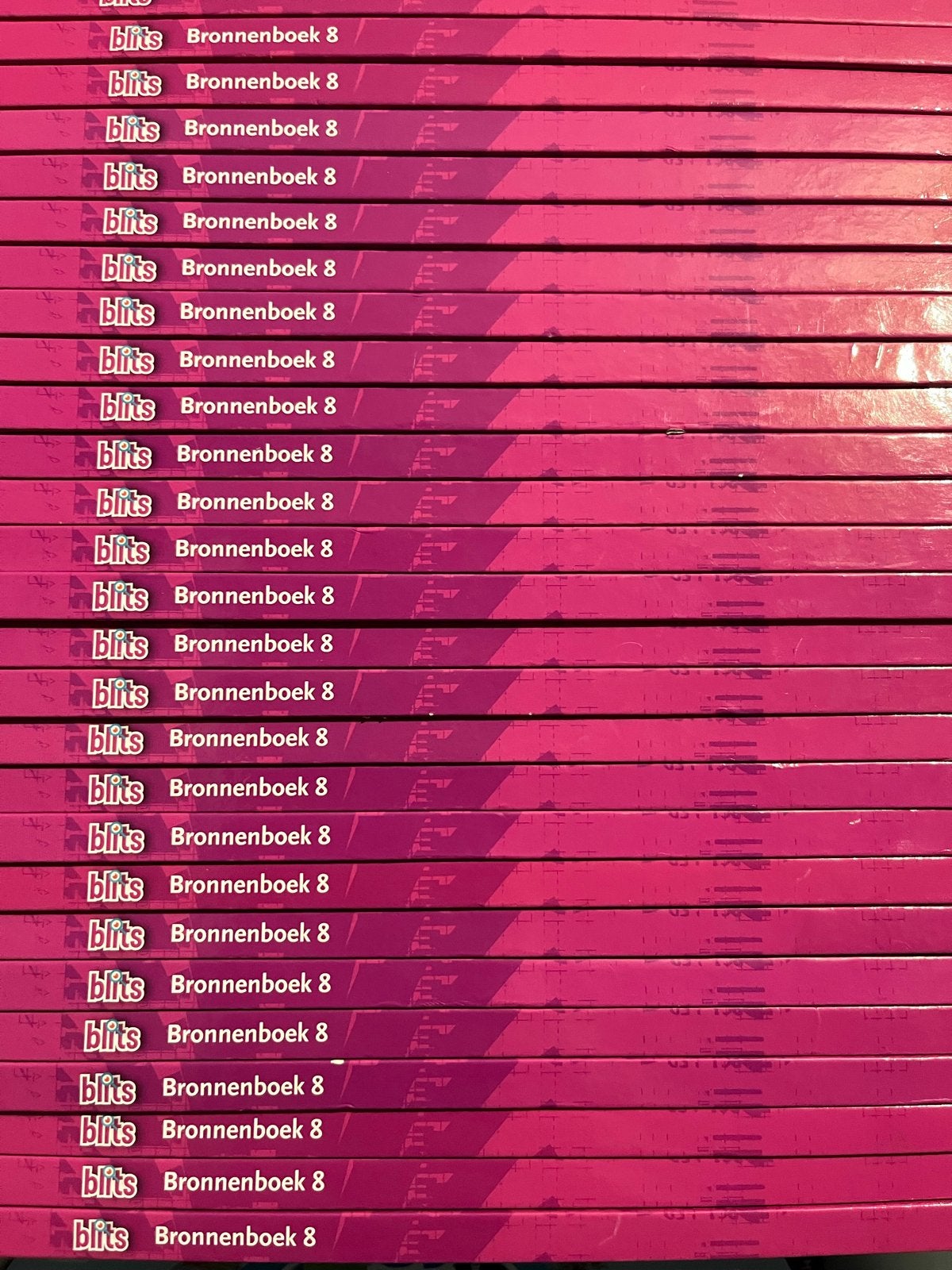 Blits Studievaardigheden Bronnenboek Groep 8, Ophalen of Verzenden, Gelezen, Overige niveaus, Overige vakken