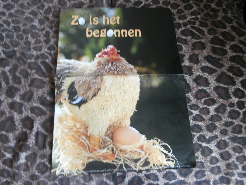 Poster Kip zo is het begonnen en de achterzijde Vuur 32 x46, Ophalen of Verzenden, A1 t/m A3, Dier of Natuur, Rechthoekig Staand