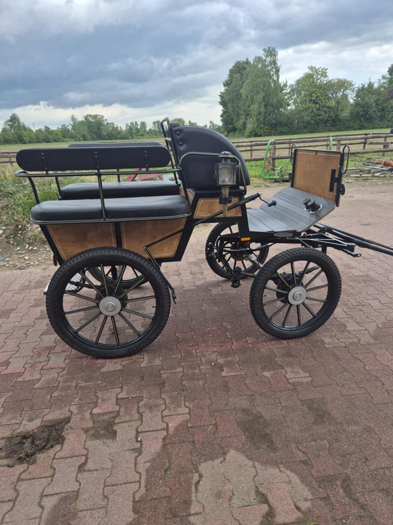 Koets, Dieren en Toebehoren, Rijtuigen en Koetsen, Gebruikt, Wagonette, Paard of Pony