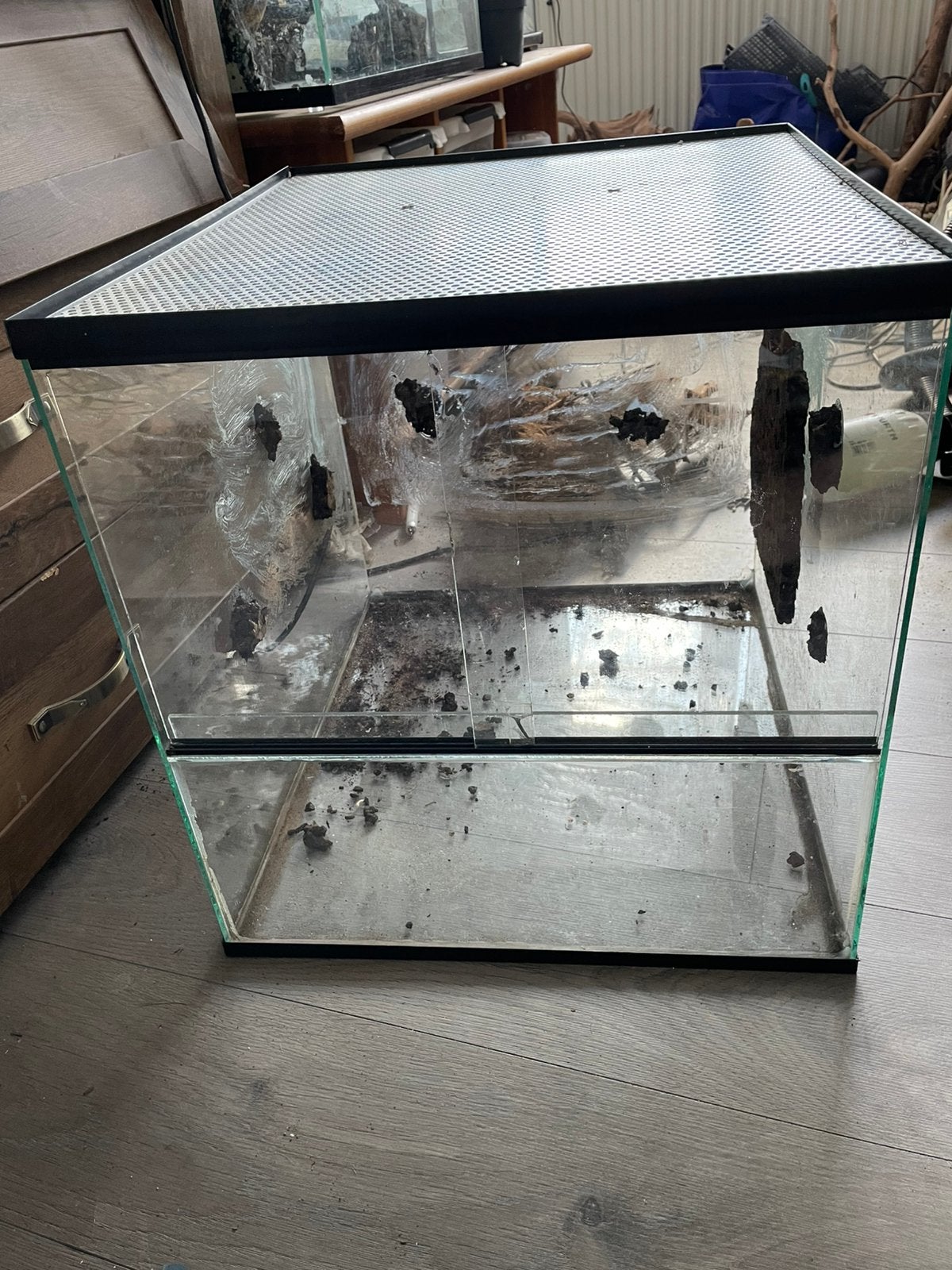Terrarium L47,5B54H48, Ophalen, Gebruikt, Terrarium of Paludarium