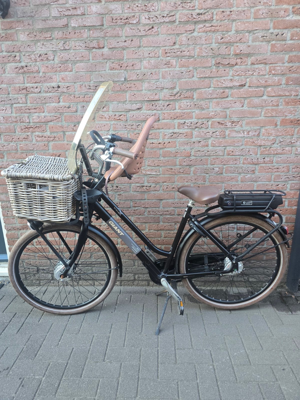Giant Triple X E-bike - Maat L met mand en kinderzitje!, 51 tot 55 cm, Ophalen of Verzenden, Gebruikt