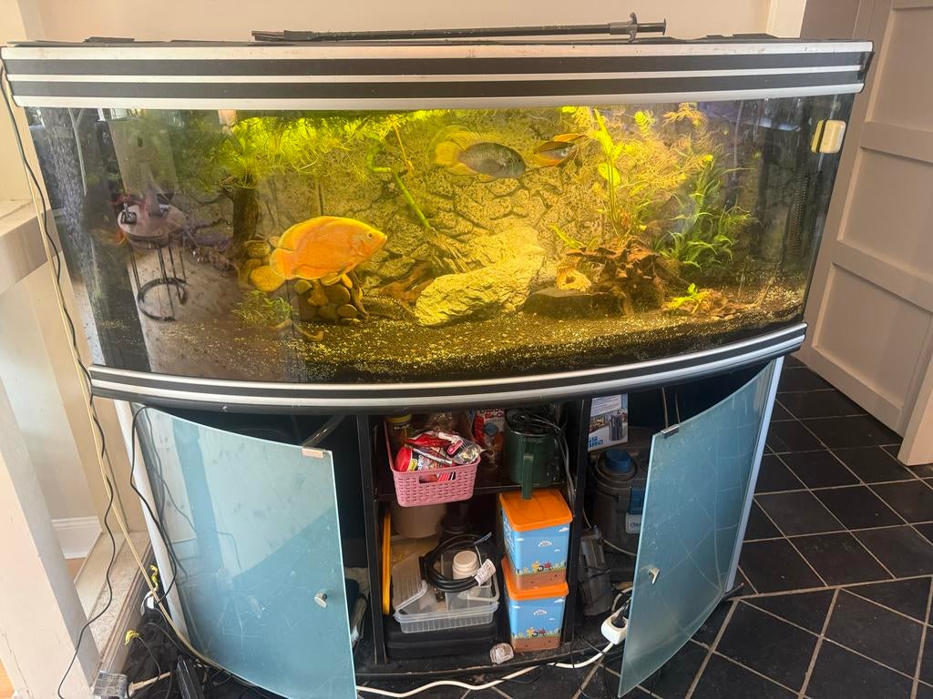 3 aqwarium, Ophalen, Gebruikt, Leeg aquarium