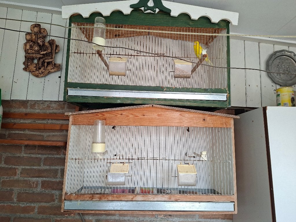 Twee vogelkooien, Dieren en Toebehoren, Ophalen, Gebruikt, Hout, Vogelkooi