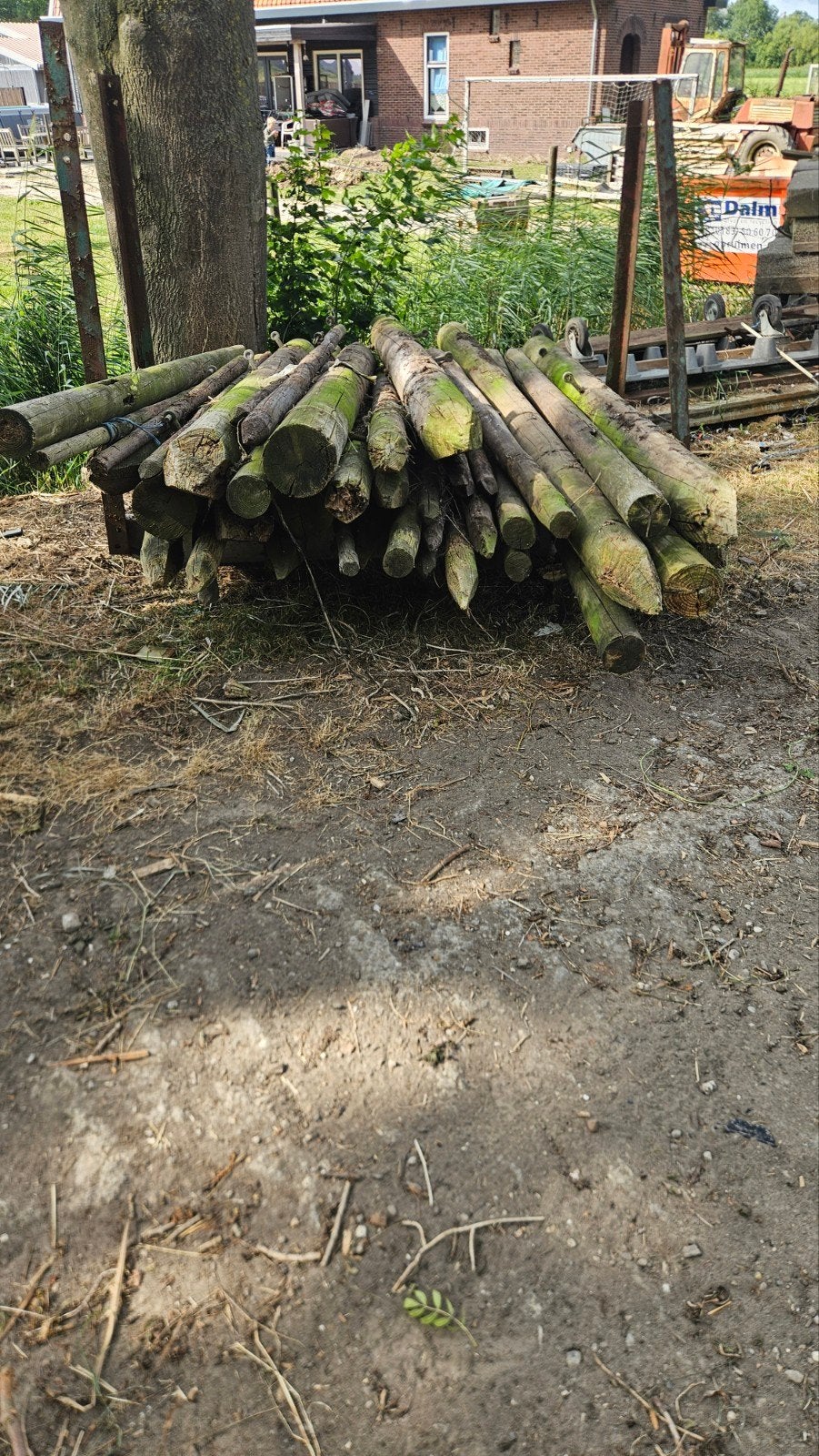 Gebruikte houten palen - 310 cm lang, 19 cm diameter, Ophalen, Gebruikt, 250 cm of meer, Palen