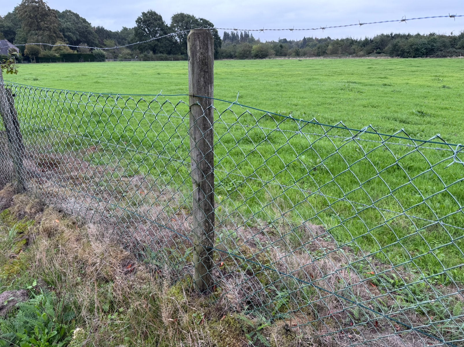 Afrastering / gaas met houten palen, Tuin en Terras, Ophalen, Gebruikt, 20 meter of meer, Overige typen