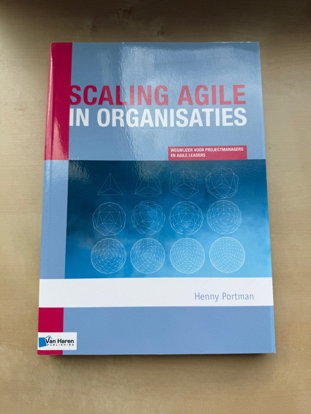 Scaling Agile in Organisaties - Henny Portman, Ophalen of Verzenden, Gamma, Zo goed als nieuw, HBO
