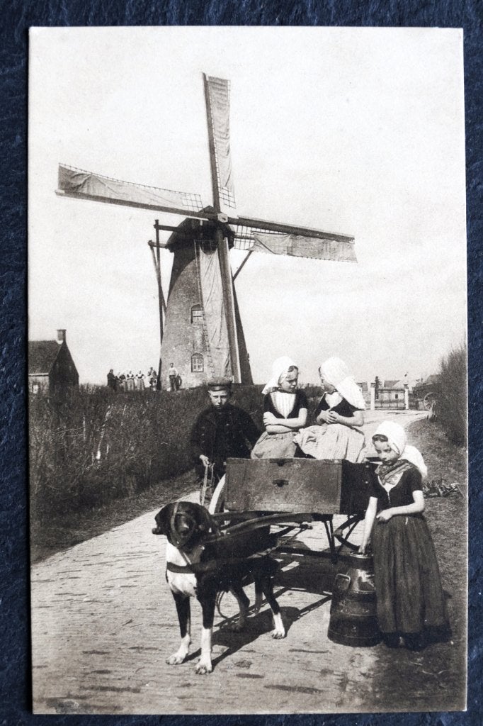 Zeeuwse kinderen onderweg met hondenkar en melkbus, Verzenden, Voor 1920, Ongelopen, Hond of Kat