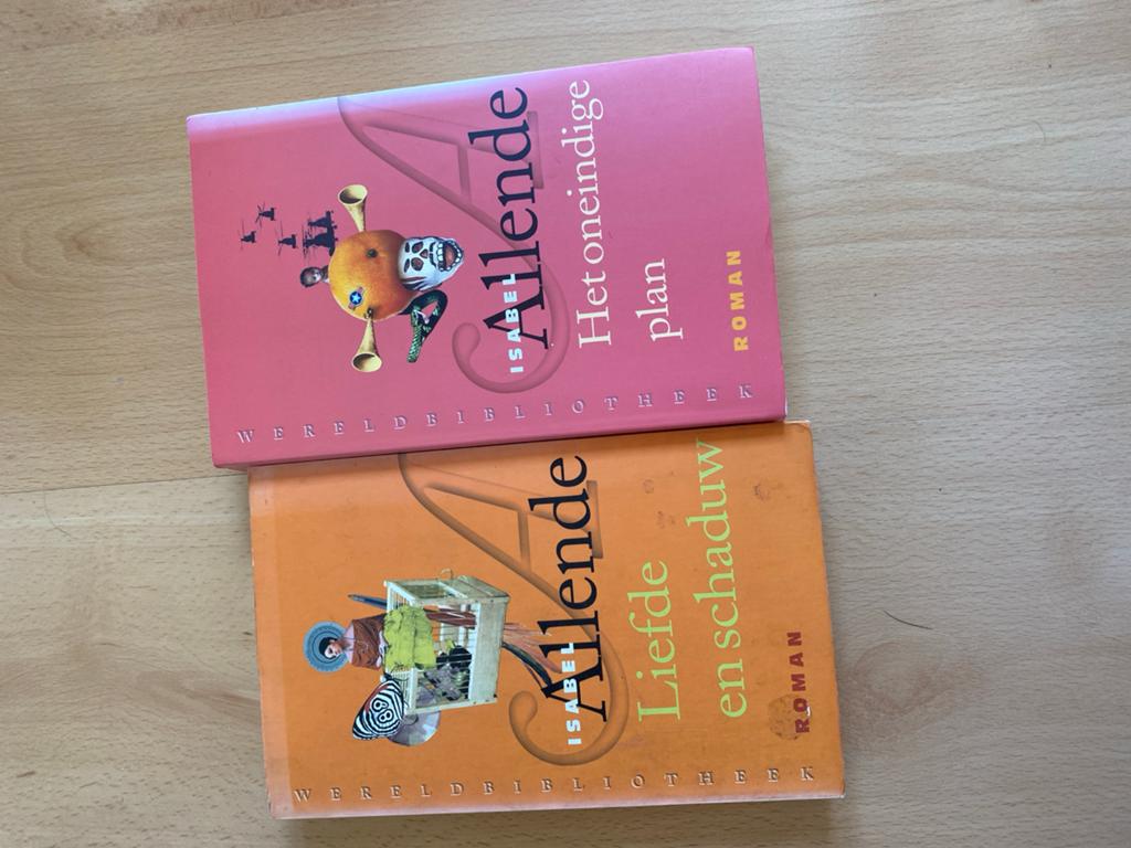 Isabel Allende Boeken: Het Oneindige Plan & Liefde en Schadu, Boeken, Ophalen of Verzenden, Zo goed als nieuw
