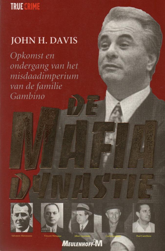 John H. Davis, De Maffia dynastie, Ophalen of Verzenden, Noord-Amerika, 20e eeuw of later, Gelezen