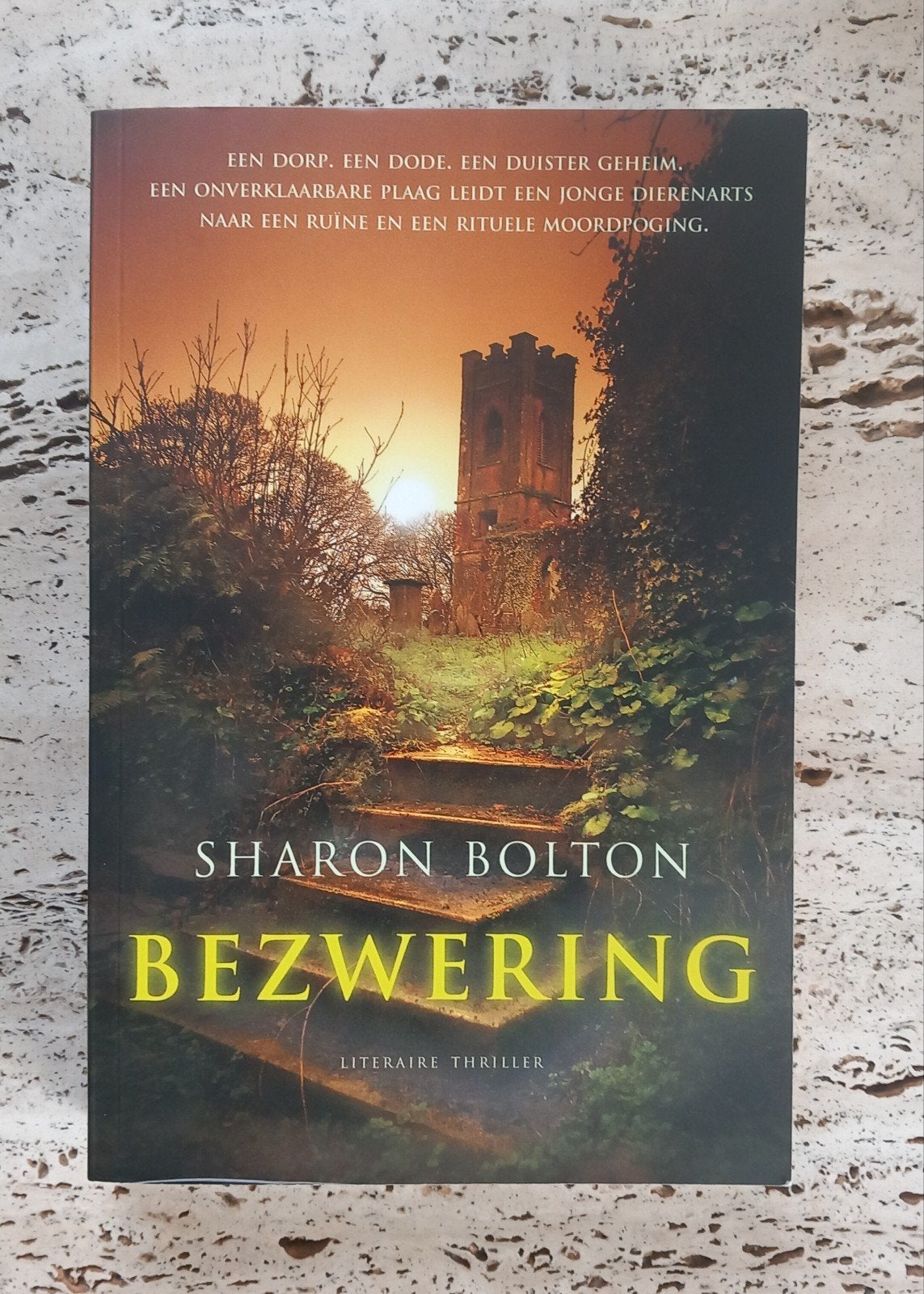 RUILEN: boek Bezwering Sharon Bolton literaire thriller, Boeken, Thrillers, Ophalen, Gelezen, Sharon Bolton