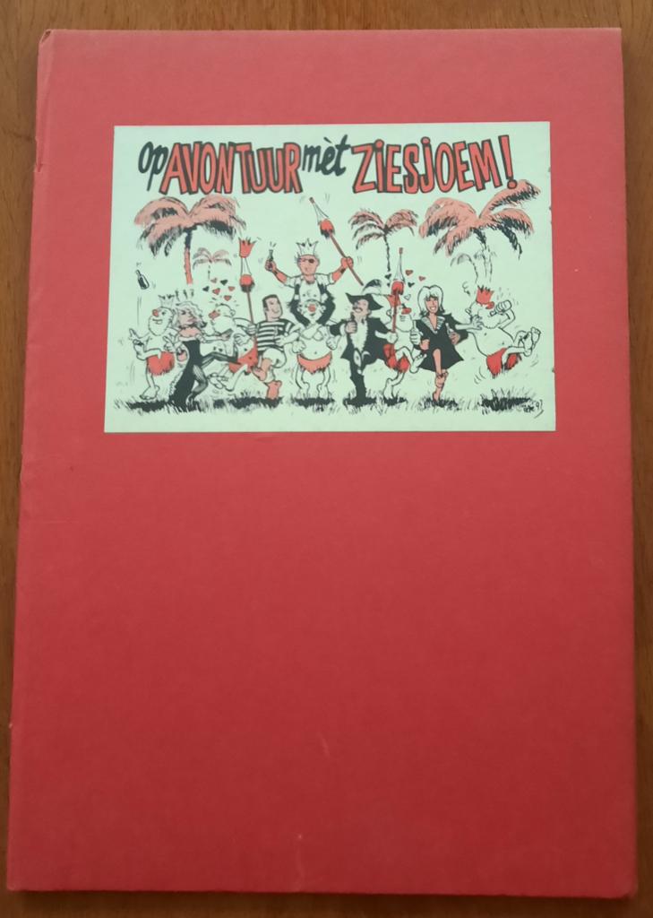 Op Avontuur Met Ziesjoem! stipboek, hardcover, maastricht, Boeken, Ophalen of Verzenden