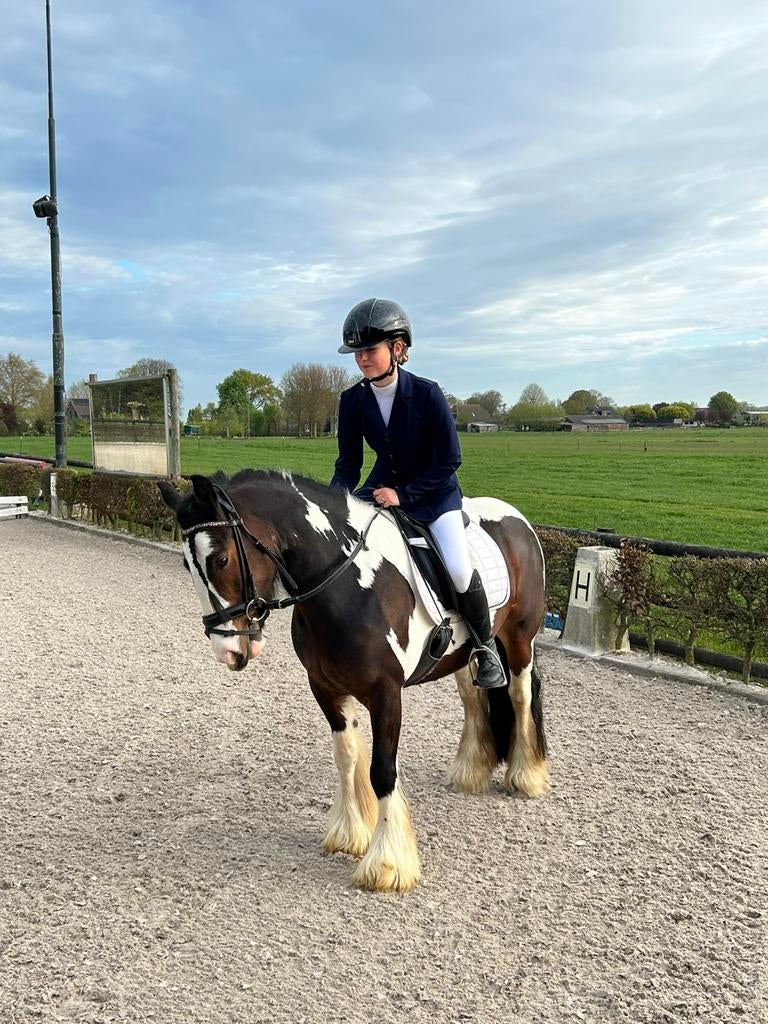 Verzorgpony gezocht omgeving Montfoort