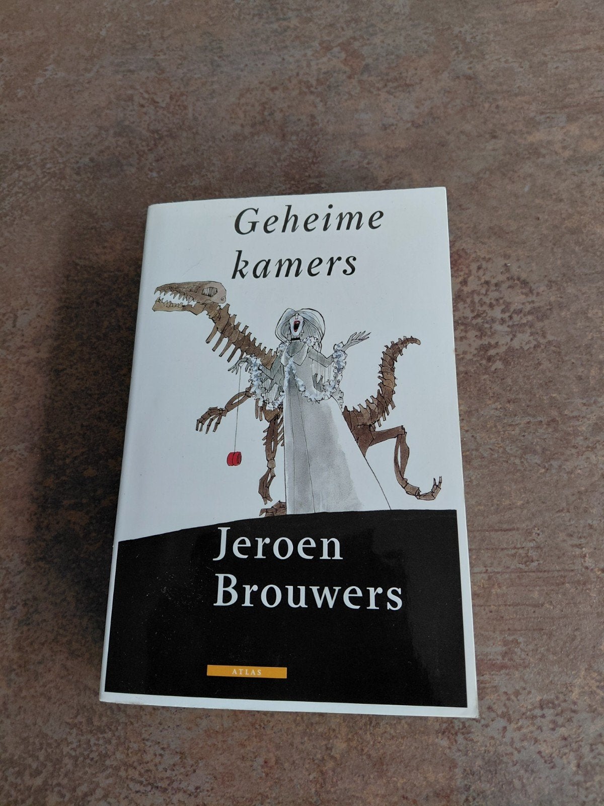 Geheime kamers - Jeroen Brouwers (Boek), Ophalen of Verzenden, Zo goed als nieuw, Jeroen Brouwers, Nederland