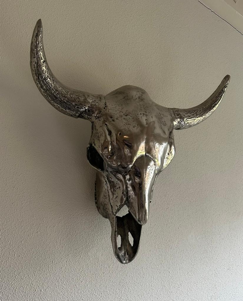 Wanddecoratie zilverkleurig schedel, Ophalen, Zo goed als nieuw, Zilver, Decoratieobject