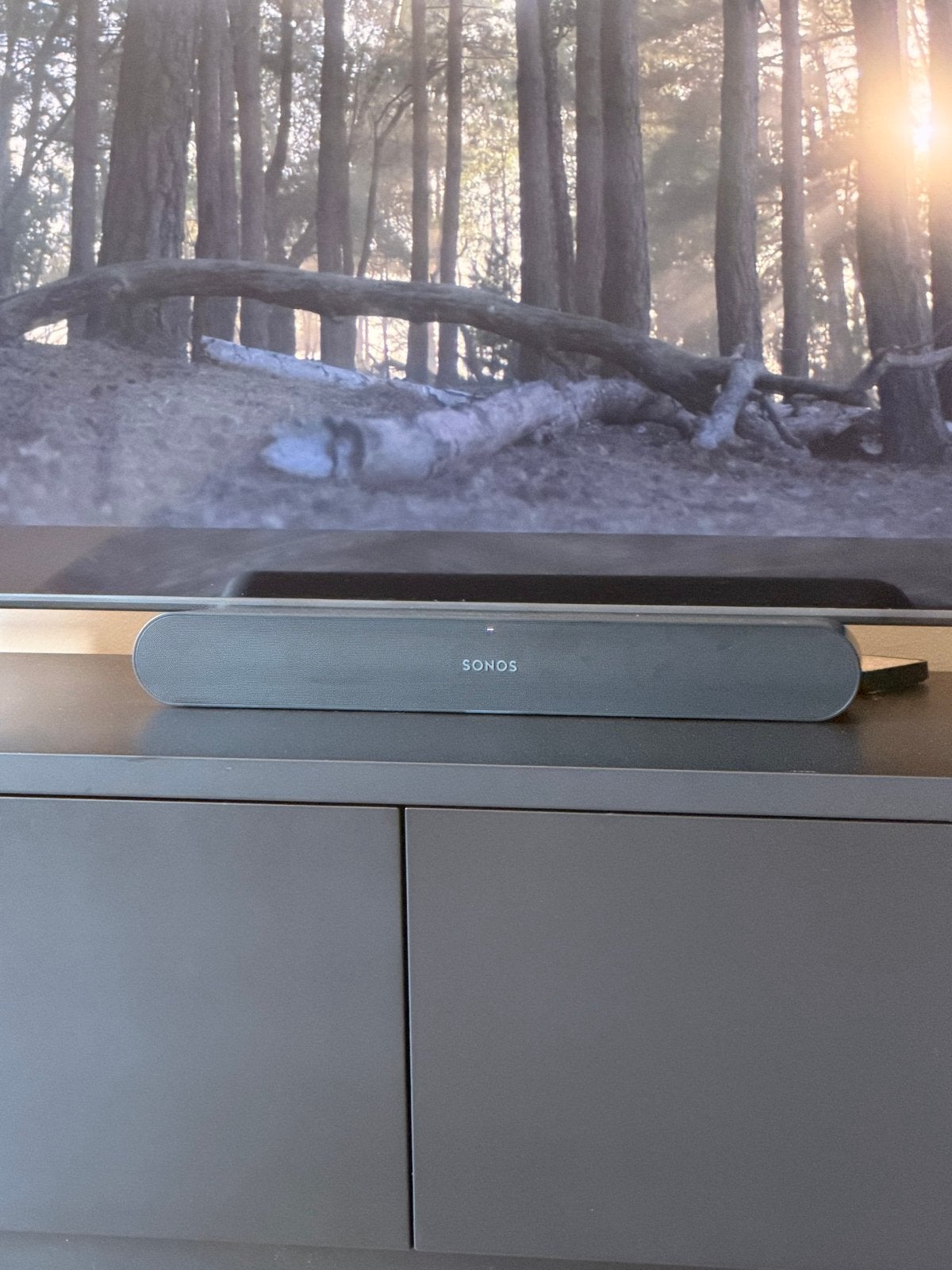 Sonos Ray Soundbar - Compacte en krachtige home cinema, Ophalen of Verzenden, Zo goed als nieuw