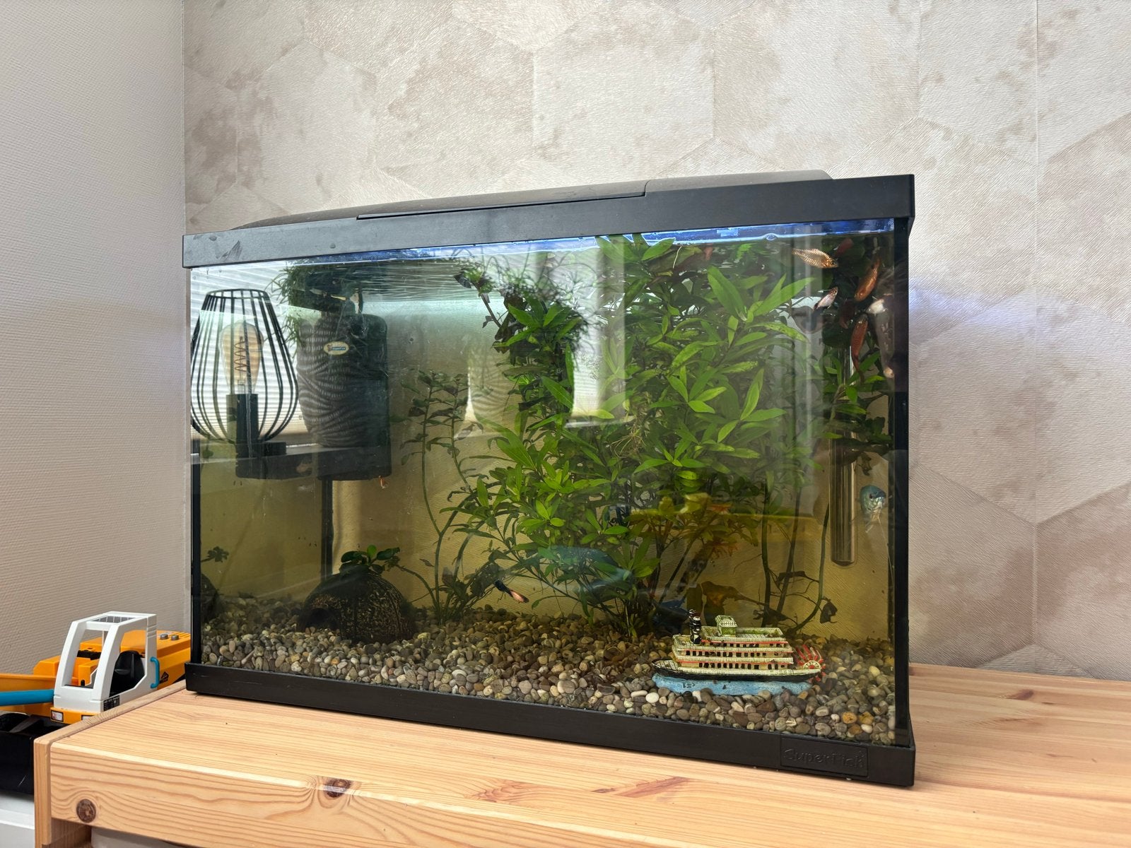 Aquarium met vissen, Dieren en Toebehoren, Ophalen, Vissenkom, Inclusief vissen, Zo goed als nieuw