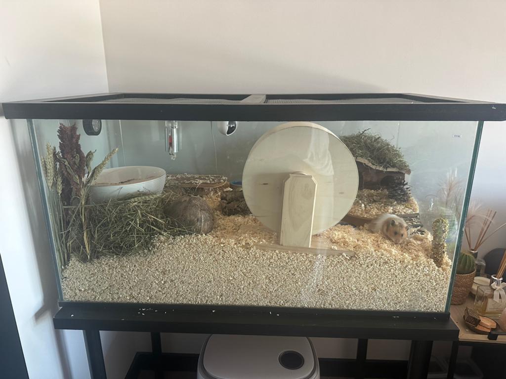 Terrarium / Aquarium 100x50x50 cm + GRATIS tafeltje, Dieren en Toebehoren, Gebruikt, 75 tot 110 cm, Ophalen, Minder dan 60 cm