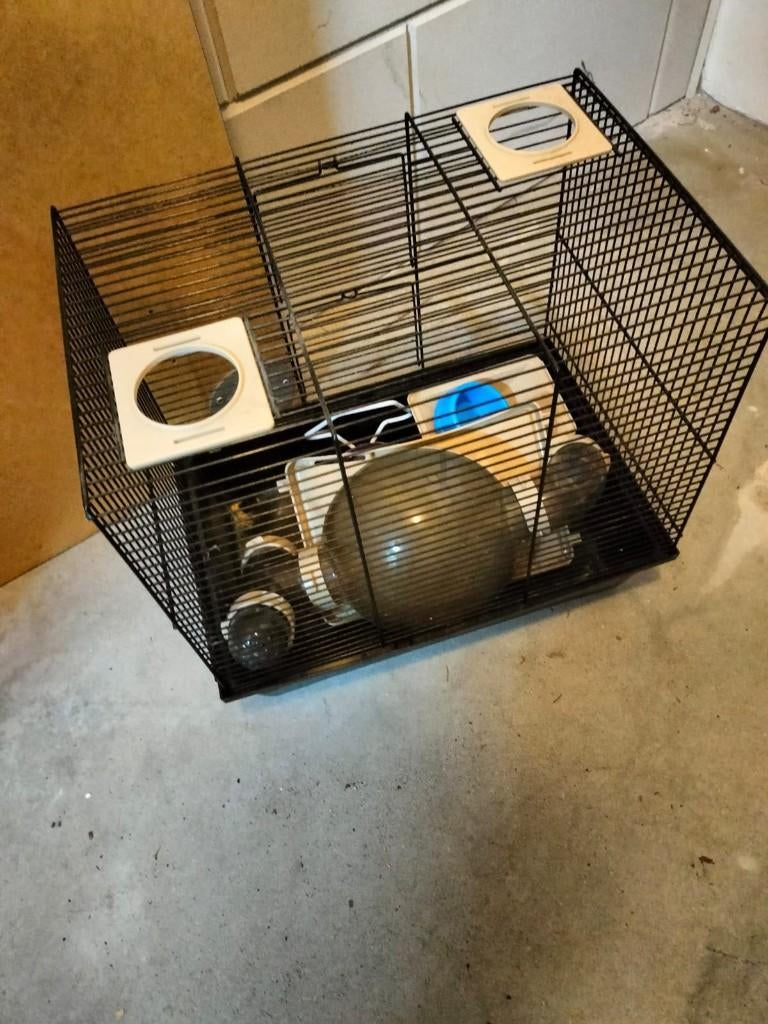 Hamsterkooi, Kooi, Gebruikt, Minder dan 75 cm, Muis