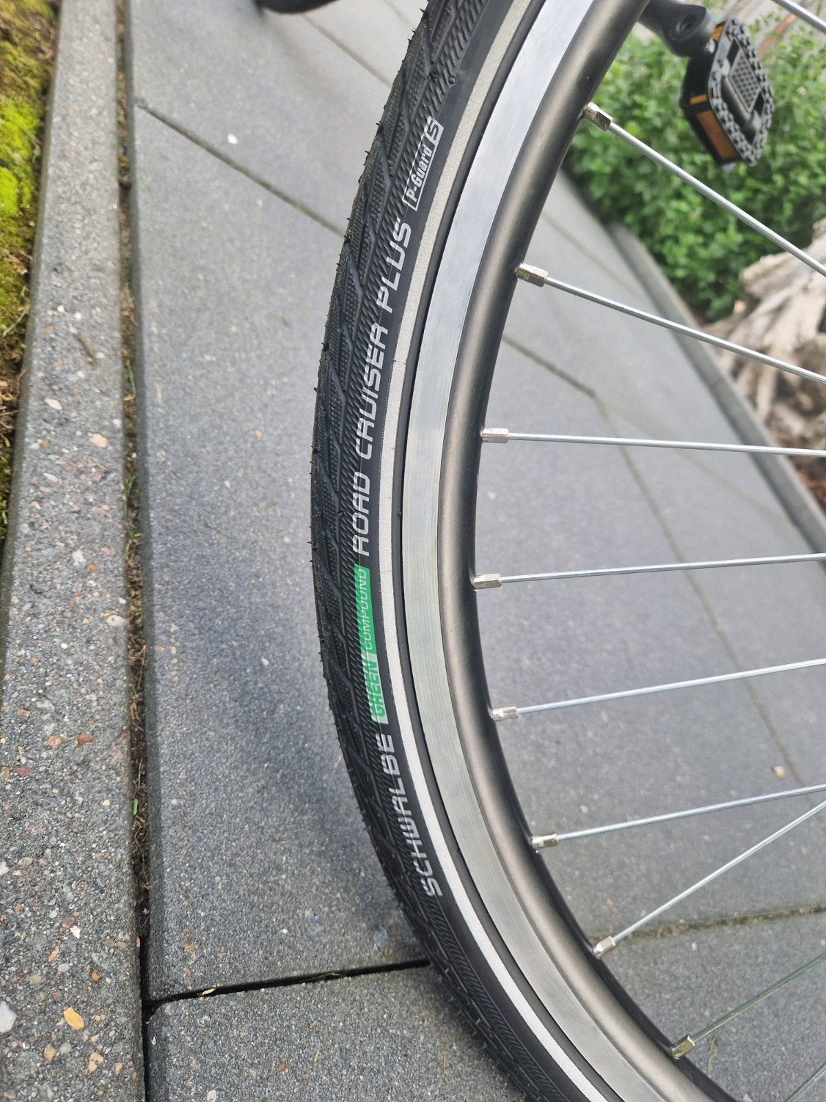 Nieuwe Azor fiets - Groen, 53 tot 56 cm, Versnellingen, Nieuw, Trommelrem