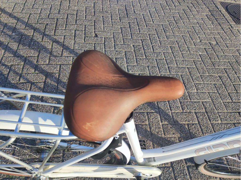 Giant dames net en goed 3 speed, Gebruikt, Niet ingevuld, 56 cm of meer, Niet ingevuld