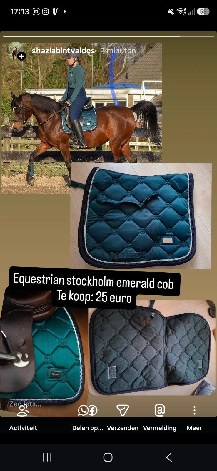 equestrian stockholm cob emerald, Ophalen of Verzenden, Gebruikt, Dressuur