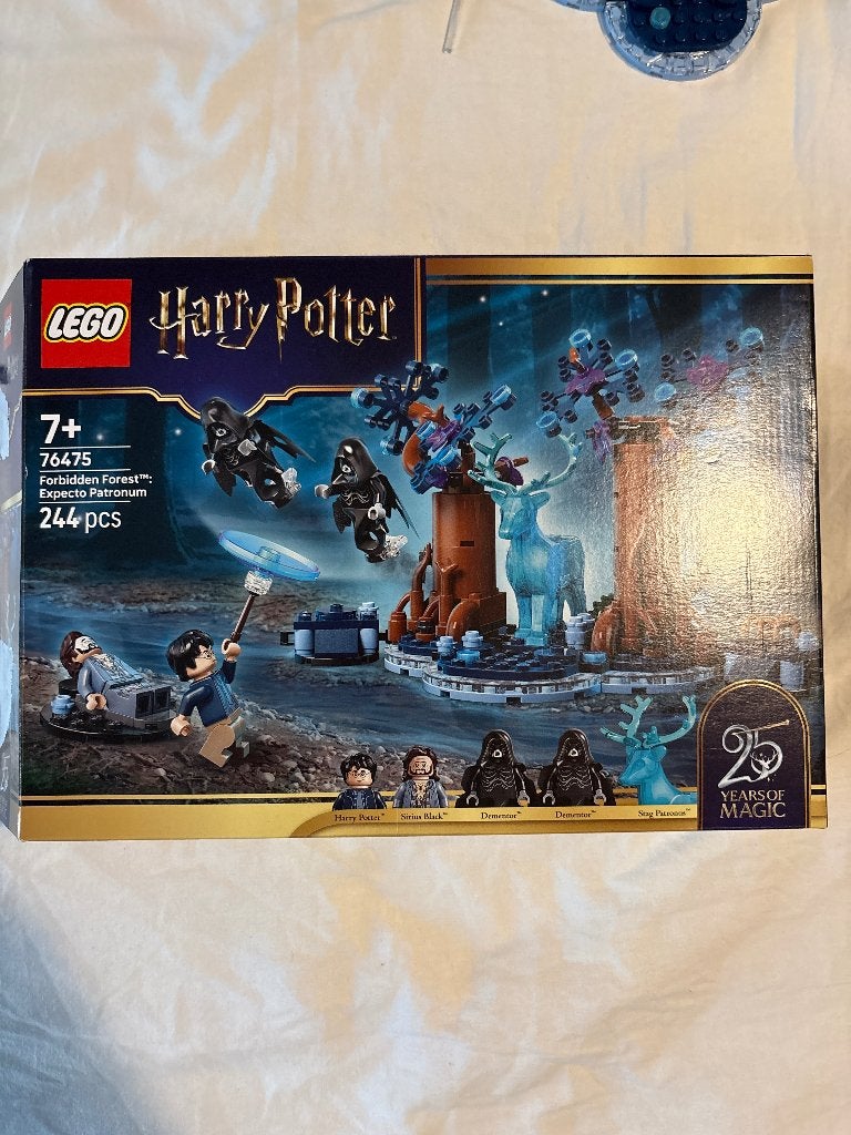 LEGO Harry Potter Forbidden Forest, 76475, Ophalen of Verzenden, Zo goed als nieuw, Groter dan 1:32