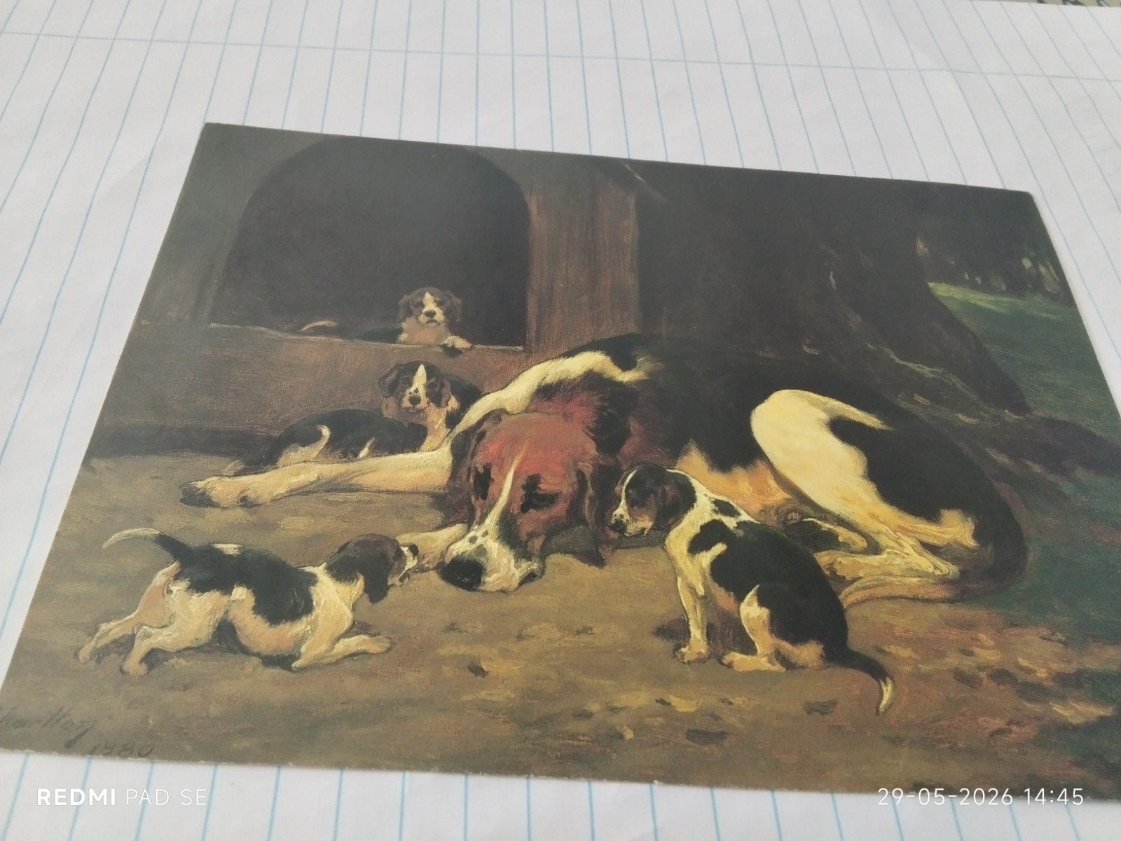 Kunstkaart A Foxhound Bitch with Her Litter' - John Char, Ophalen of Verzenden, 1980 tot heden, Overige thema's