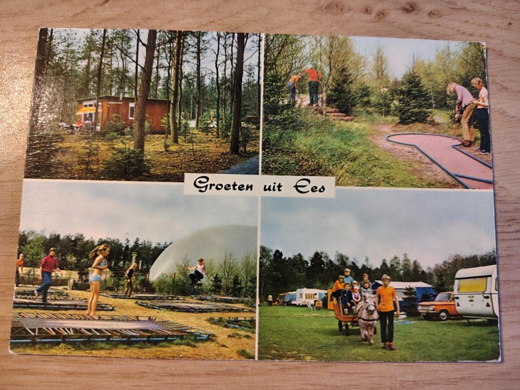 Ees, Ophalen of Verzenden